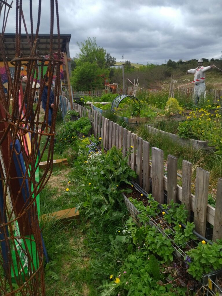Jardin en permaculture